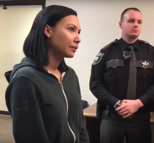 naya-rivera-charged-with-domestic-battery.jpg