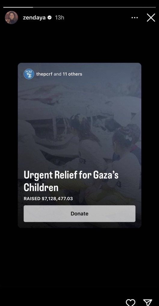 Zendaya Supporting Palestine