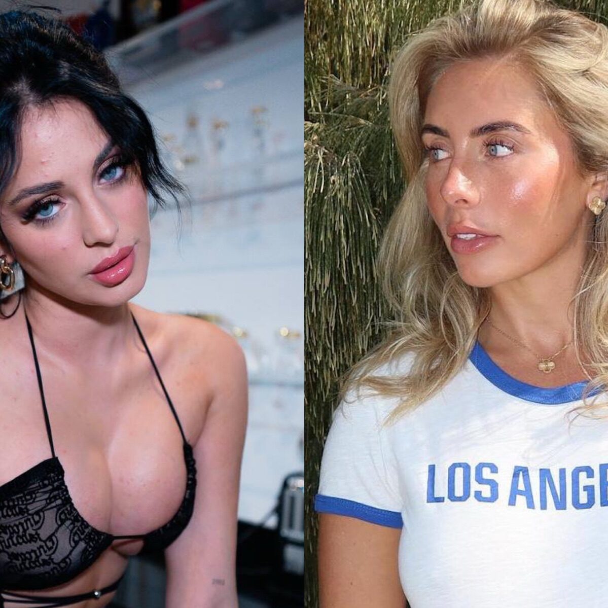 Camilla Araujo Offers Bonnie Blue $2 Million to Stop the Circus - Where Is  The Buzz | Breaking News, Entertainment, Exclusive Interviews & More