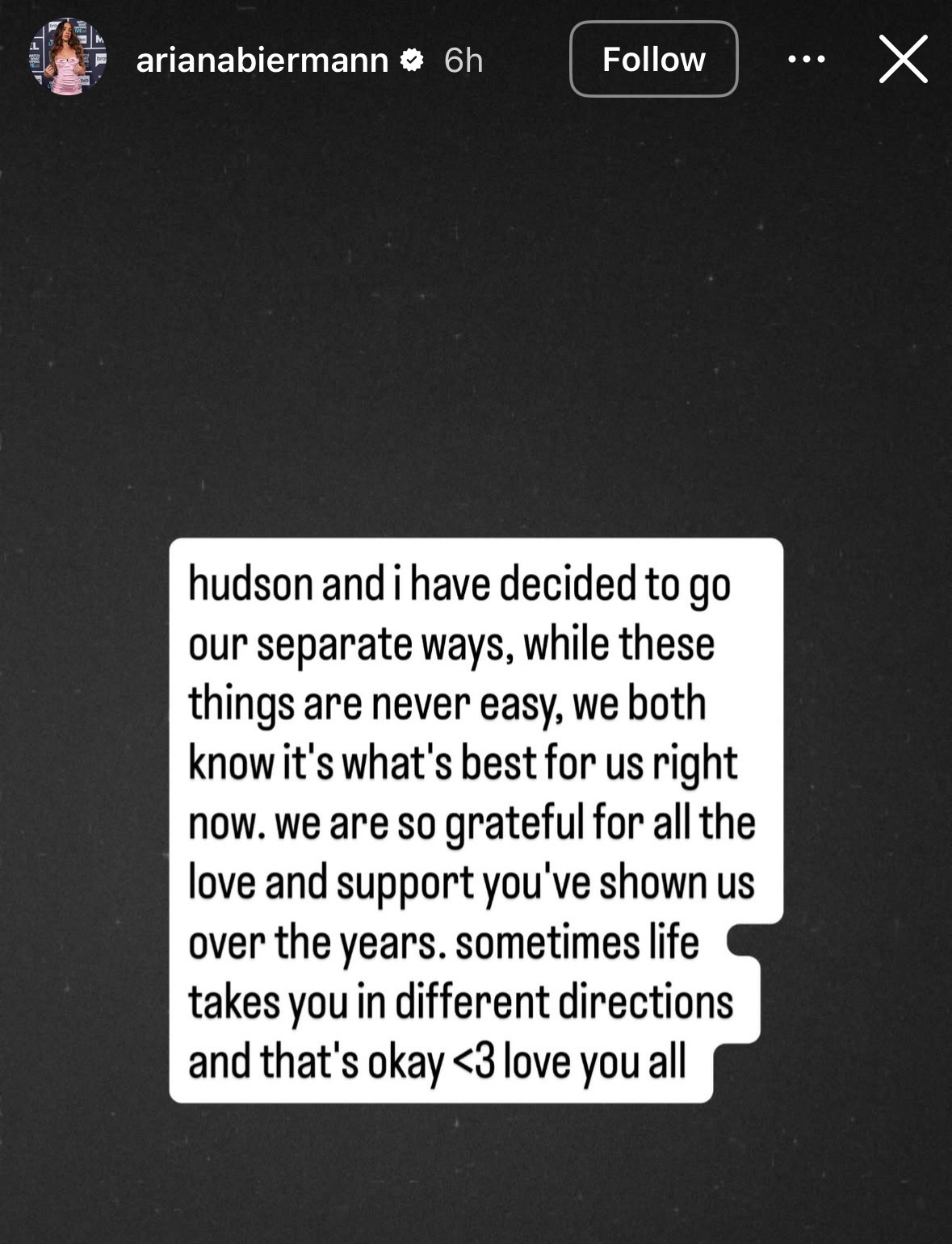 Ariana Biermann's Instagram Story