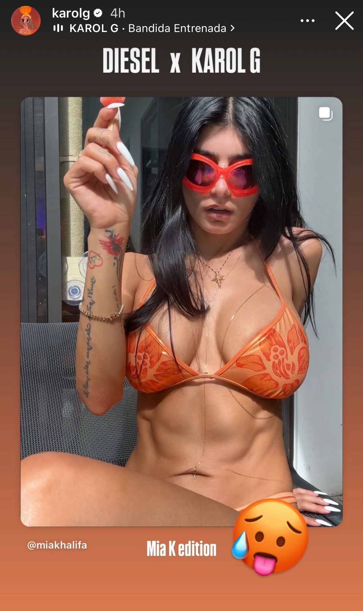 Karol G's Instagram Story