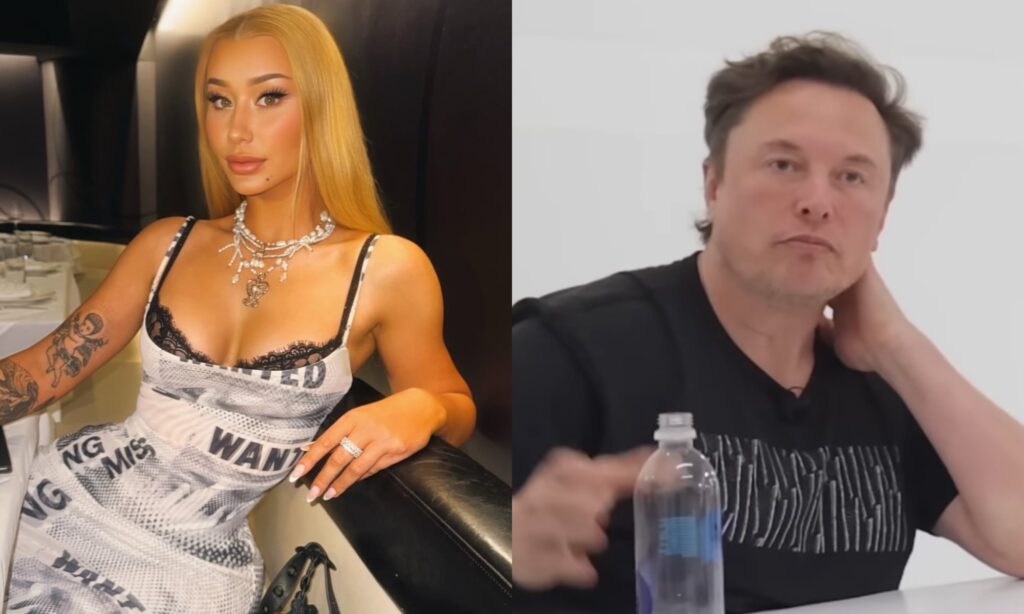 Iggy Azalea and Elon Musk