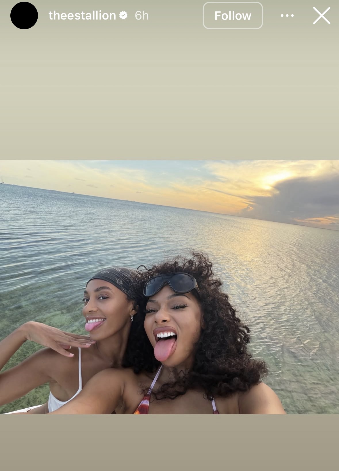 Megan Thee Stallion's Instagram Story